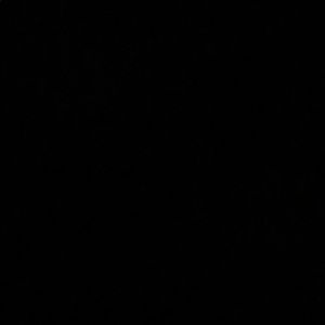 Meet your Posher, Conrad